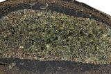 Sliced Olivine Crystal Filled Volcanic Bomb (Half) - Spain #301764-1